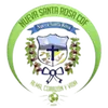 纽瓦罗莎CDF